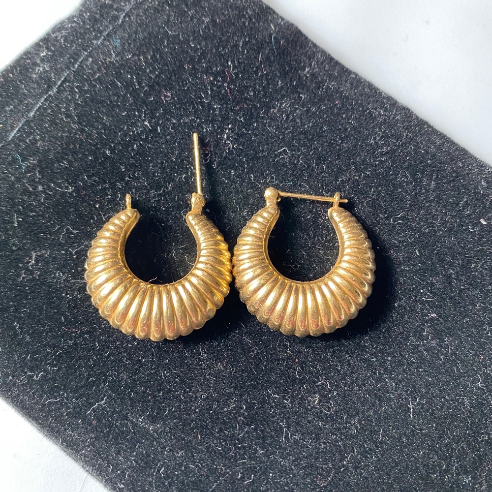 Gold Shell Earrings